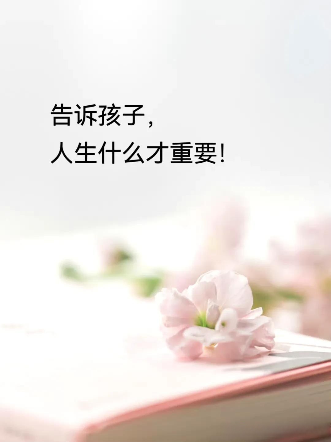 什么是成长(什么是成长档案)